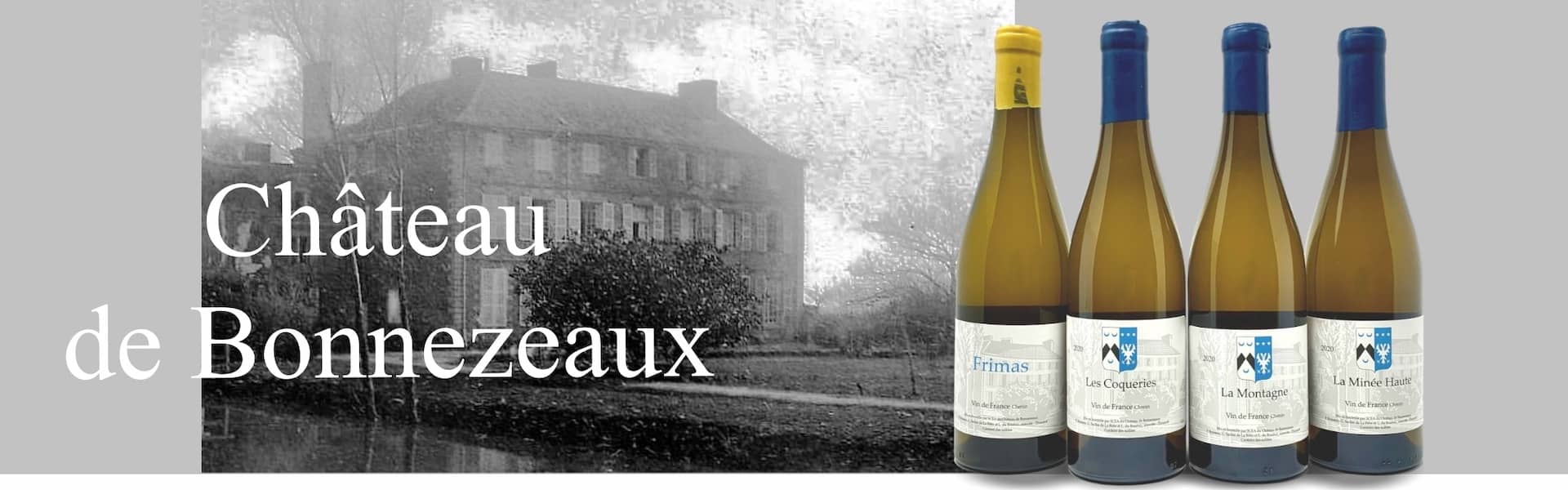 Château de Bonnezeaux